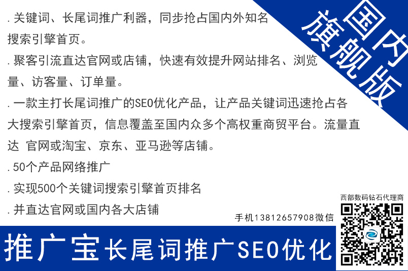 推廣寶seo網(wǎng)絡長尾關鍵詞推廣 國內旗艦版